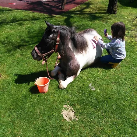 Casa Jesus 乡村民宿 Lires